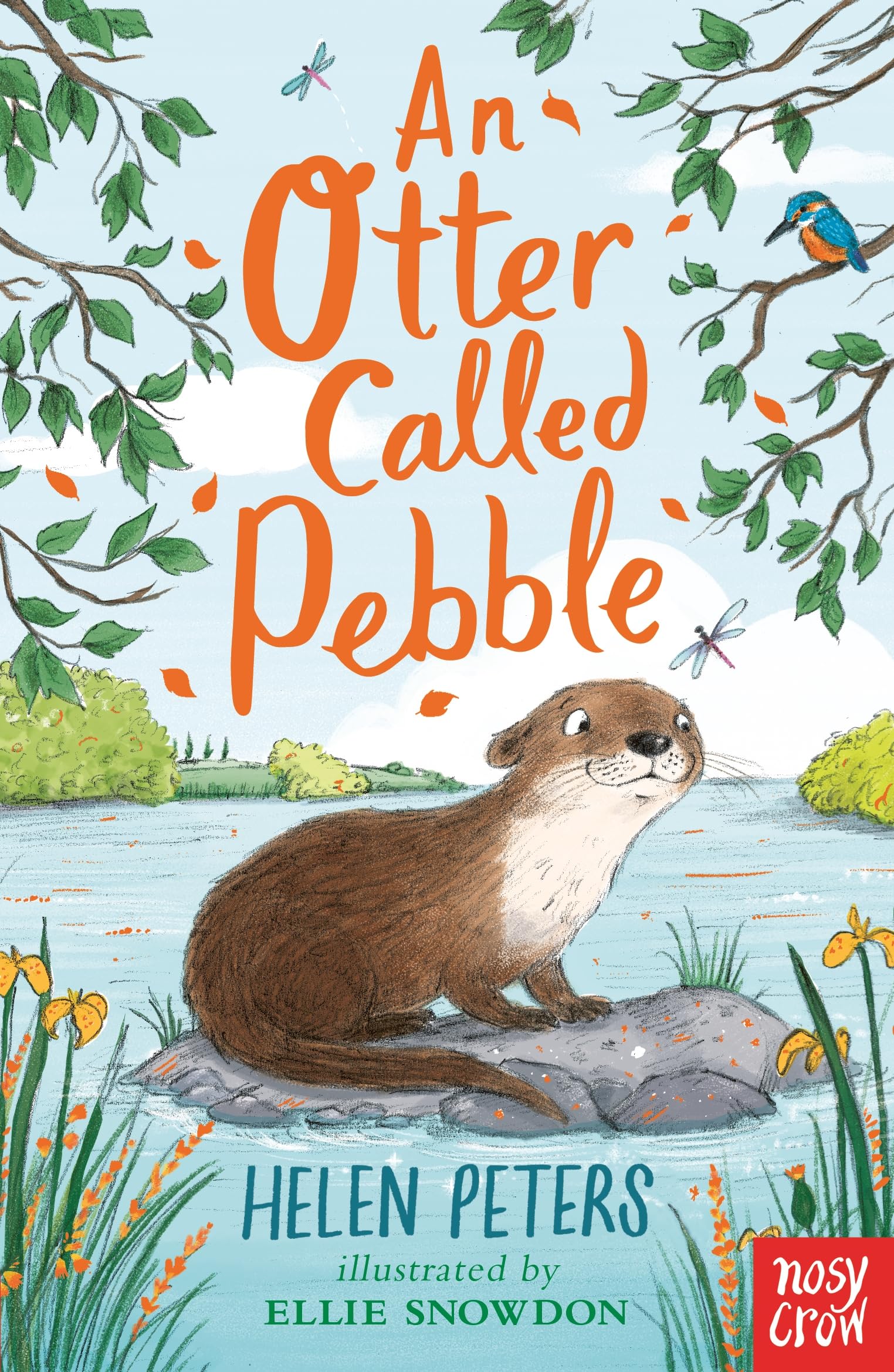 An Otter Called Pebble by Helen Peters (Paperback Book)