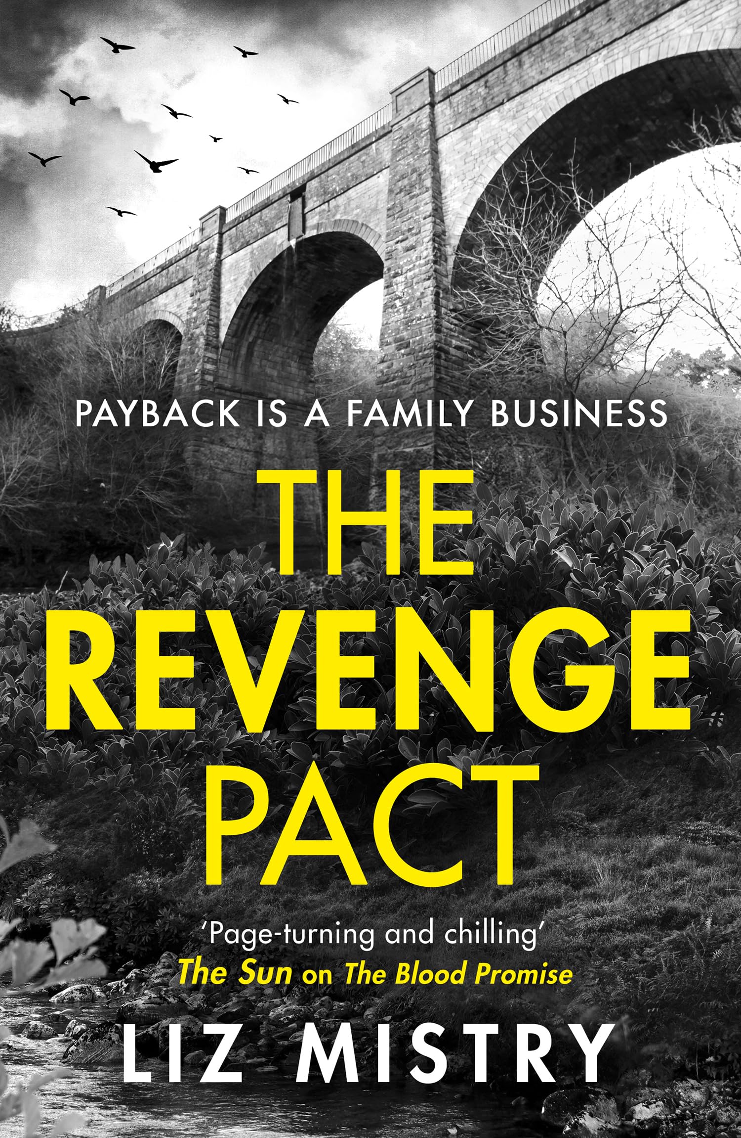 The Revenge Pact by Liz Mistry PAPERBACK 9780008686482