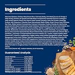 Blue Buffalo Life Formule de protection Poulet & Riz brun Petits aliments pour chiens séchés adultes de race, soutient l'immunité avec antioxydant-Rich LifeSource Bit, fait la promotion de la peau & Santé des peaux, 2,7 kg/kg