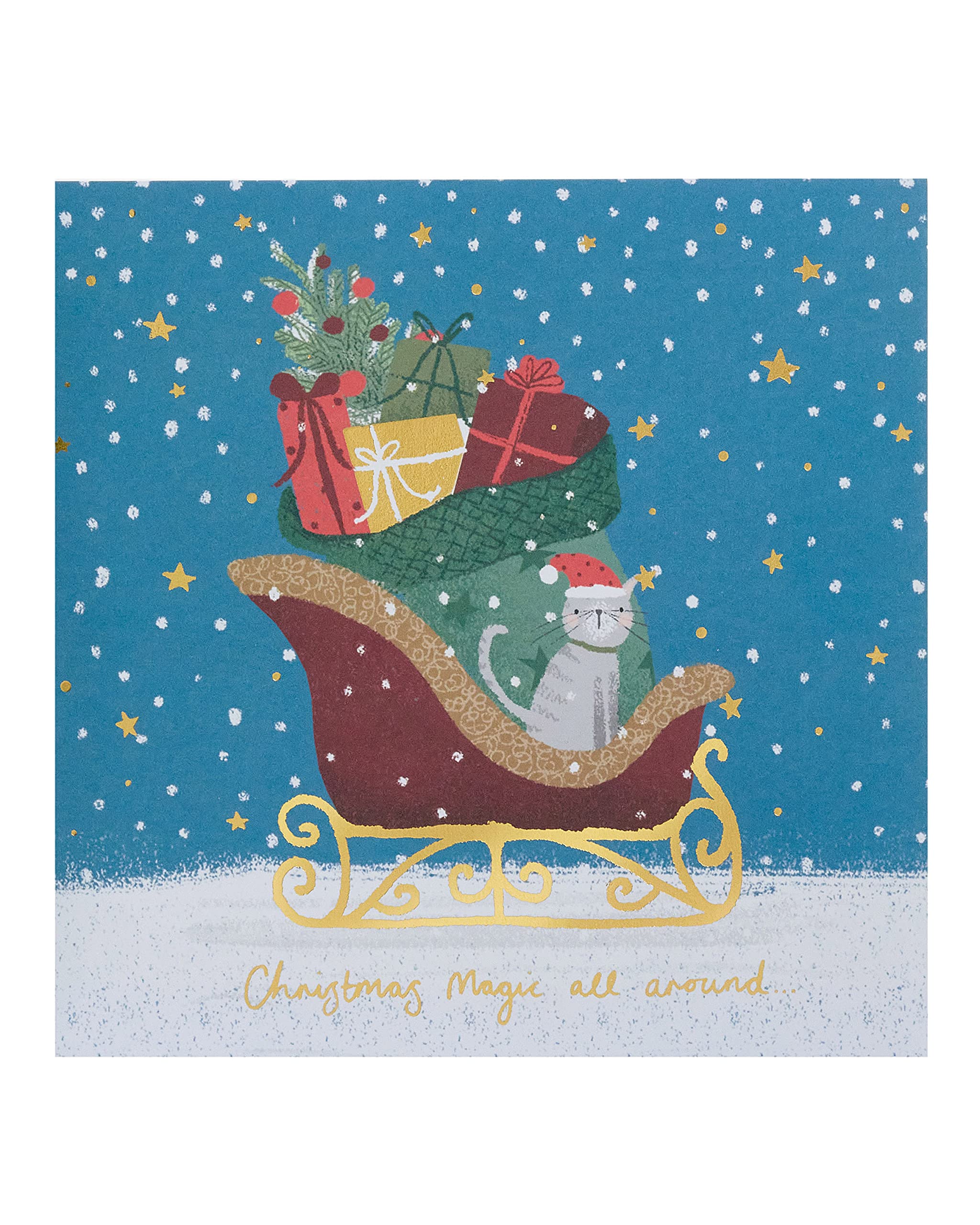 Santa's Sleigh with Cat Design - Multipack of 8 Charity Christmas Cards with Envelope