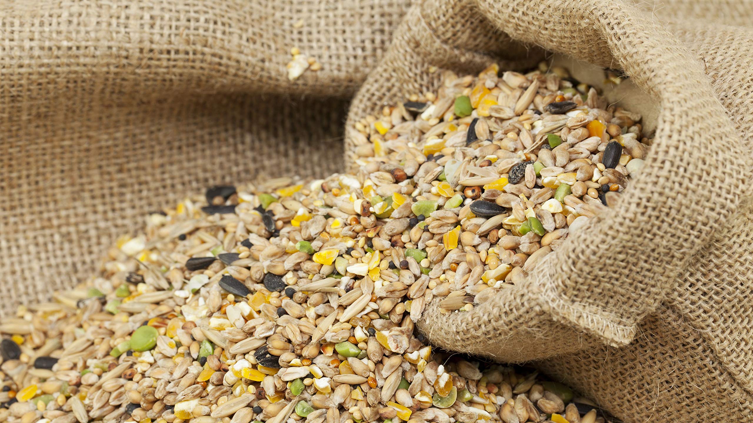 Siddhi Bird Feeder Mixed Seed Bird Food (5 KG) (B08NHG69BR) Amazon Price History, Amazon Price Tracker