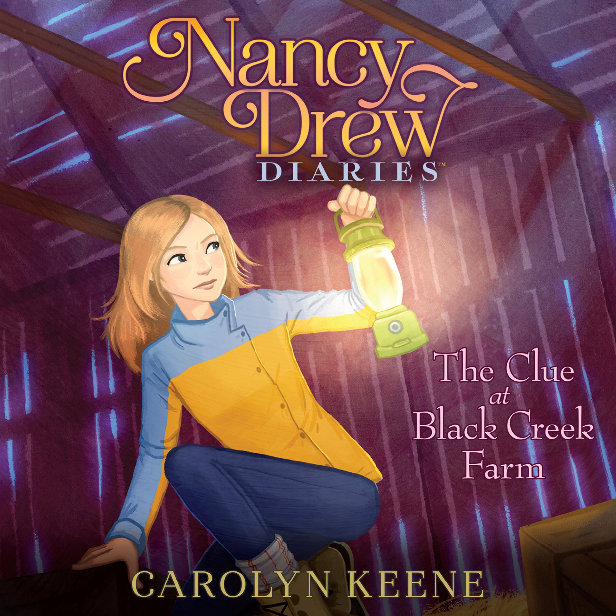 Cover art for The Clue at Black Creek Farm