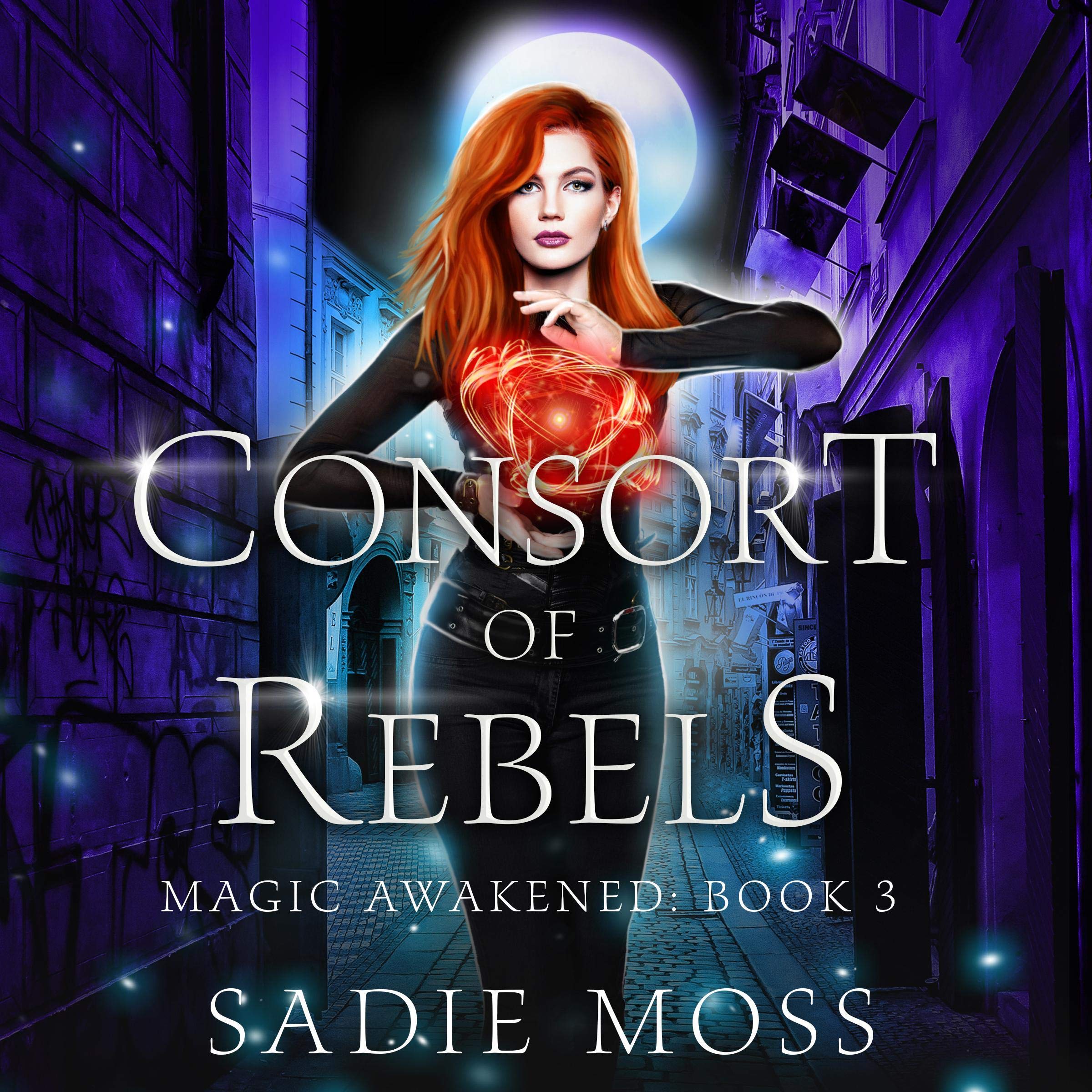 Cover art for Consort of Rebels