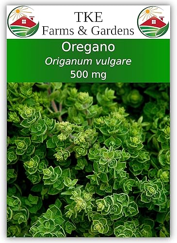 TKE Farms & Gardens - Más de 3000 semillas de orégano, 500 mg, reliquia sin OMG, hierba perenne polinizada abierta, Origanum vulgare, para jardines