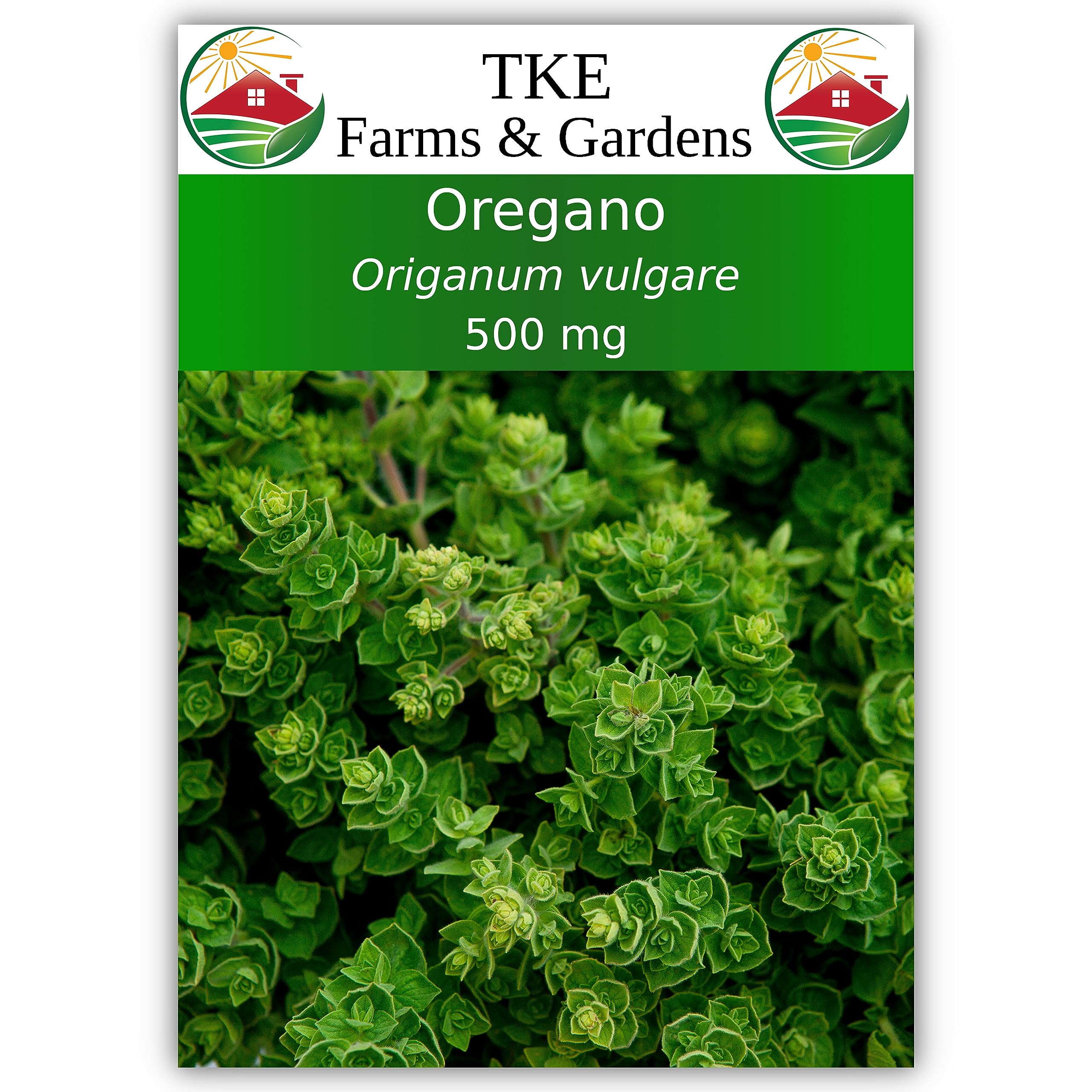 Oregano Seeds for Planting, 3000+ Non-GMO Heirloom Seeds, 500mg, Open Pollinated Perennial Herb, Origanum vulgare, for Indoor & Outdoor Gardens, Qty 1