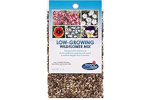 Small Flower Seeds - Wildflower Seeds for Small Spaces