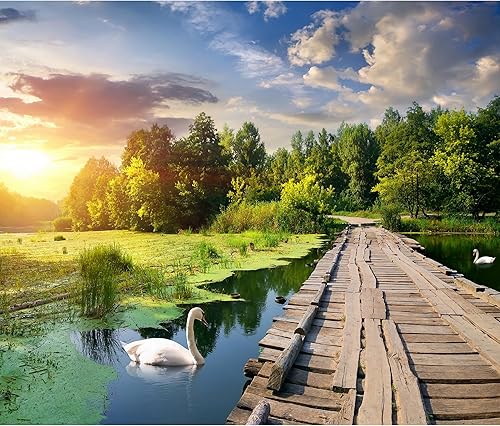 Rompecabezas de 1000 piezas para adultos, lago Golden Hour con puente de madera y cisnes, caja lista para regalo, letras en la parte posterior, 8