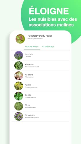 GIY Permaculture – vue 8
