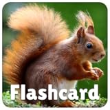 Alphabet and word recognition Animal Flashcards and Sounds - Fun and educational game for kids, preschool toddlers, boys and girls - Free