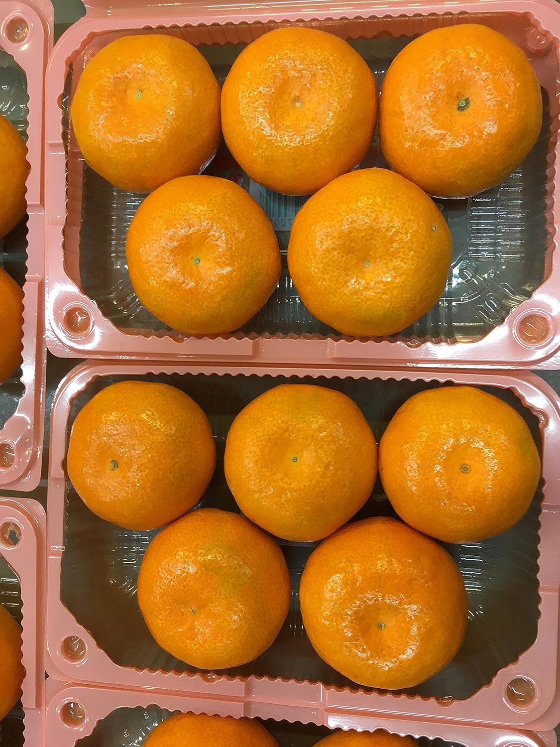 送料無料 産地厳選 温室みかん 1パック6 9玉入り 4パック 送料無料 産地厳選 温室みかん 1パック6 9玉入り 4パック