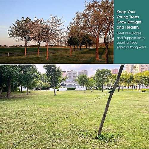 Miniatura 6 de Fetanten - Juego de estacas para árbol de acero resistente de 11.8 pulgadas para apoyar árboles contra viento fuerte, con 6 correas y cuerda (13.12