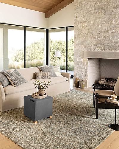 Loloi Amber Lewis x Morgan Collection MOG-04 - Alfombra de pasillo de 2 pies 3 pulgadas x 9 pies 6 pulgadas Loloi Amber Lewis x Morgan Collection MOG-04 - Alfombra de pasillo de 2 pies 3 pulgadas x 9 pies 6 pulgadas