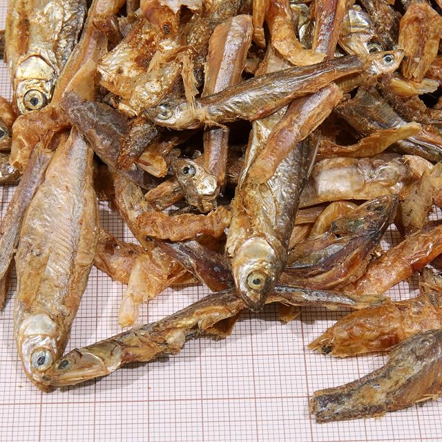 Foto 2 de 4 de JBL Proterra PESCARUS 2,5 L Energil Peces con gambas Pantano Tortugas de Agua