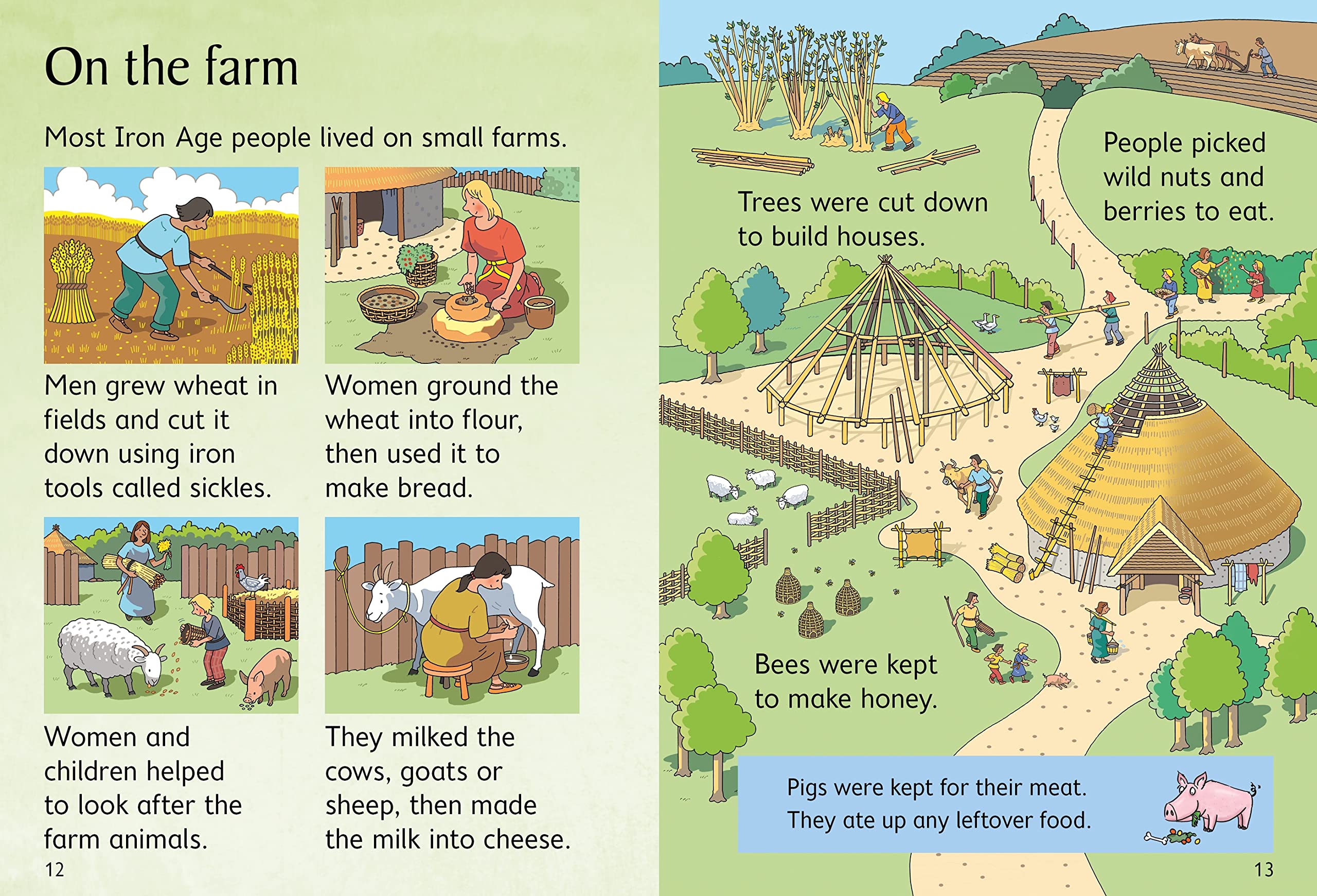 BEGINNERS IRON AGE