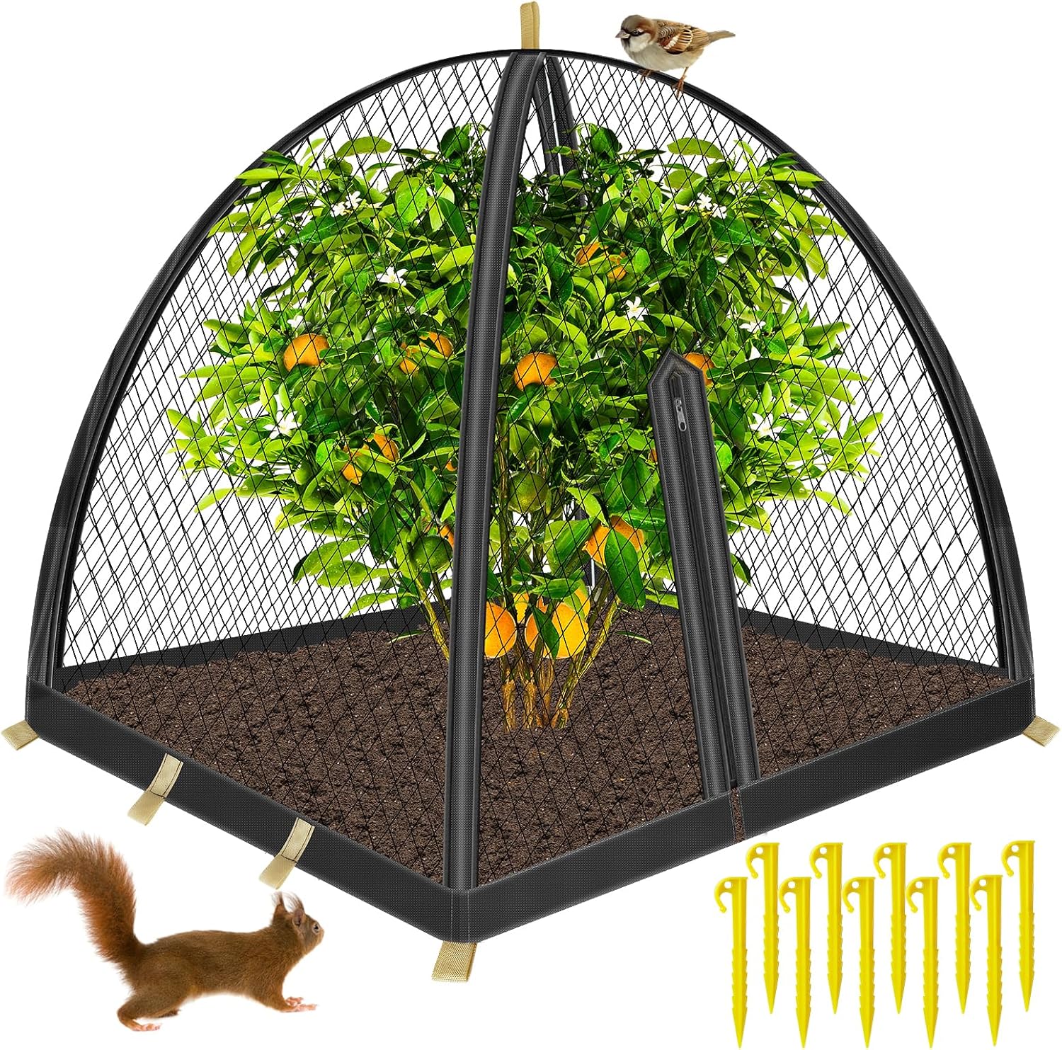 36x36x39 inch Mesh Plant Enclosure, Insect Barrier Plant