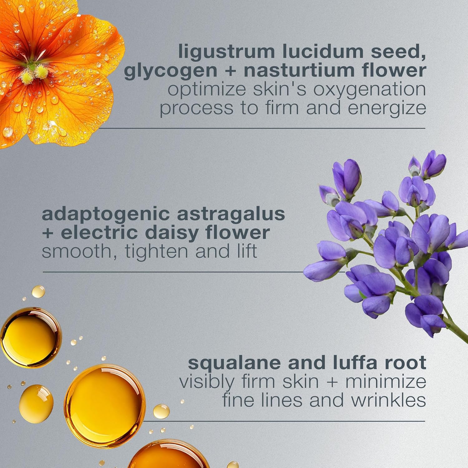 Dermalogica Phyto Nature Oxygen Cream, Daily Liquid Moisturizer for Face - Firms, Lifts and Revitalizes with Hydrating Oxygen-Optimizing Phytoactives, 1.7 fl oz - Image 3