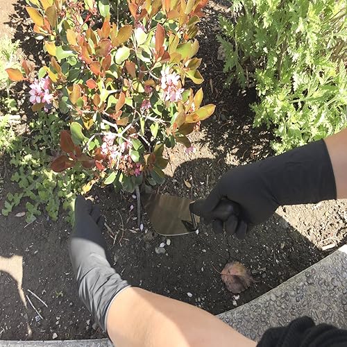 Miniatura 3 de guantes negros descartables de látex, 12 pulgadas de longitud, grosor de 2164, sin polvo, 50 unidades