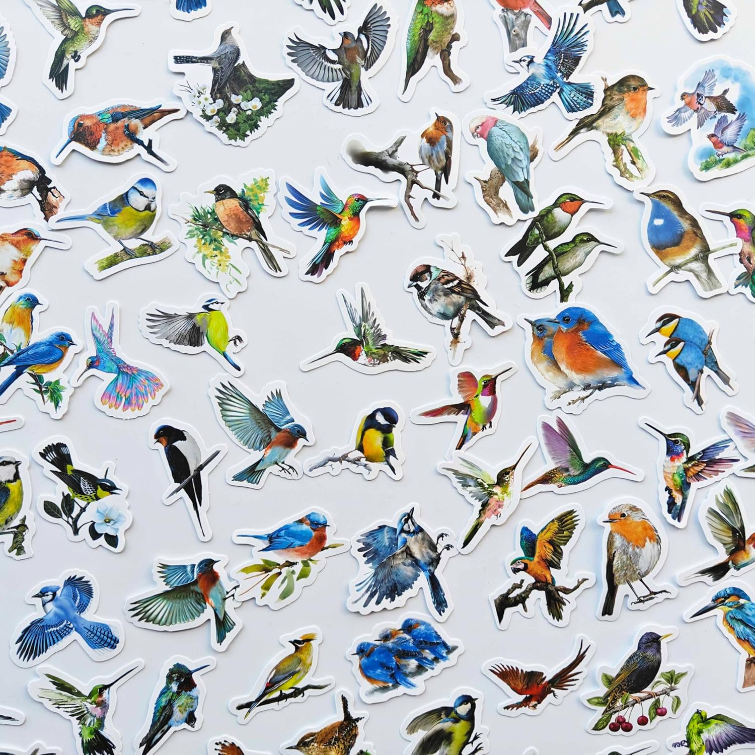 100Pcs Colorful Bird Stickers Alert Decals Bird Strike Window Decals Sparrow Magpie Woodpecker Puffin Oriole Cute