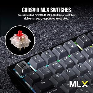 Corsair K65 Plus Wireless 75% RGB Mechanical Gaming Keyboard Pre-Lubricated MLX Red Linear Switches PBT Dye-Sub Keycaps PC, Mac, PS5, PS4, Xbox, iPad QWERTY NA Black/Gray