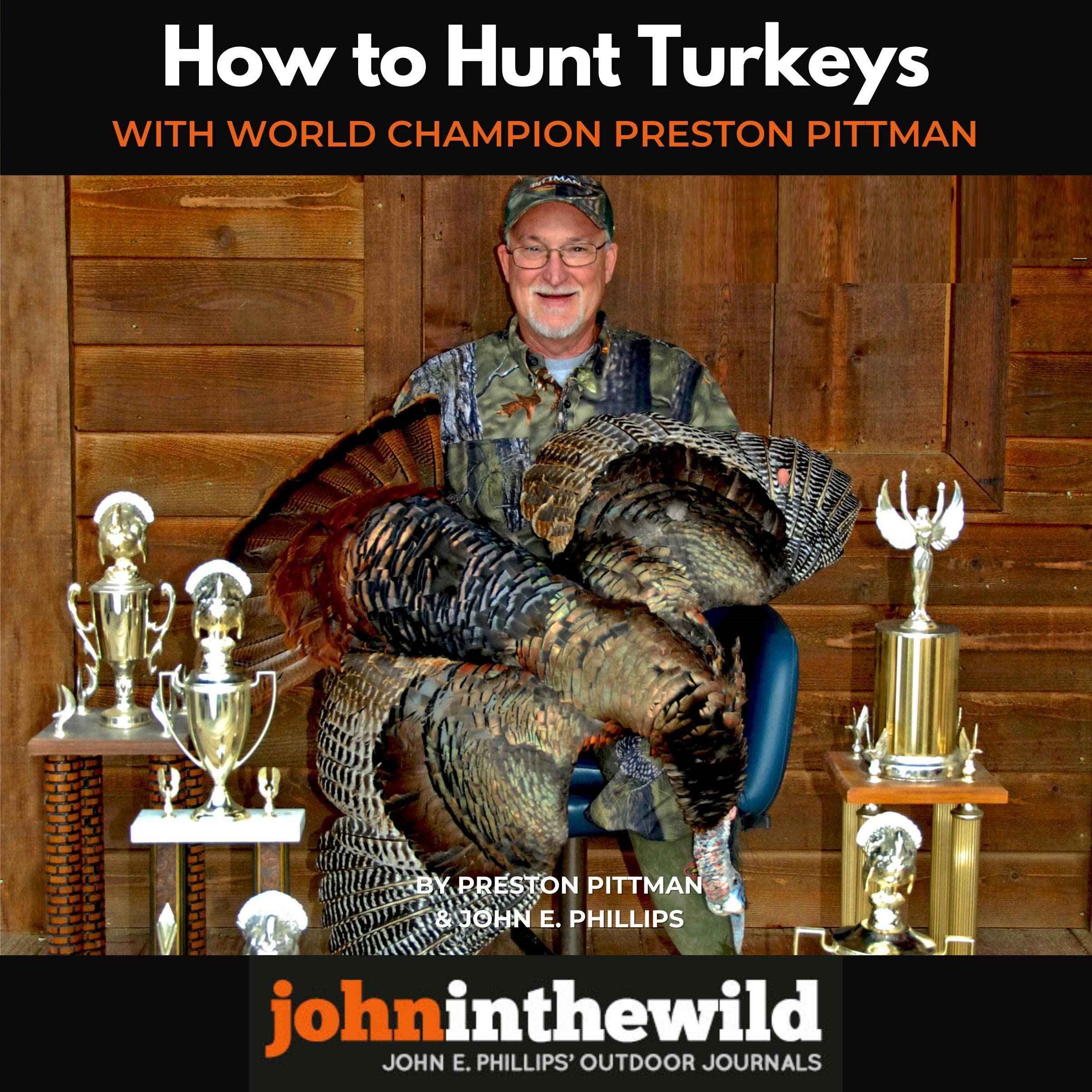 Cover art for How to Hunt Turkeys with World Champion Preston Pittman