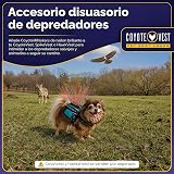 Ver la foto 7