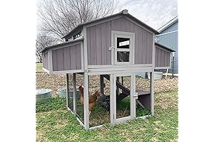 Aivituvin Chicken Coop: Perfect for Six Hens