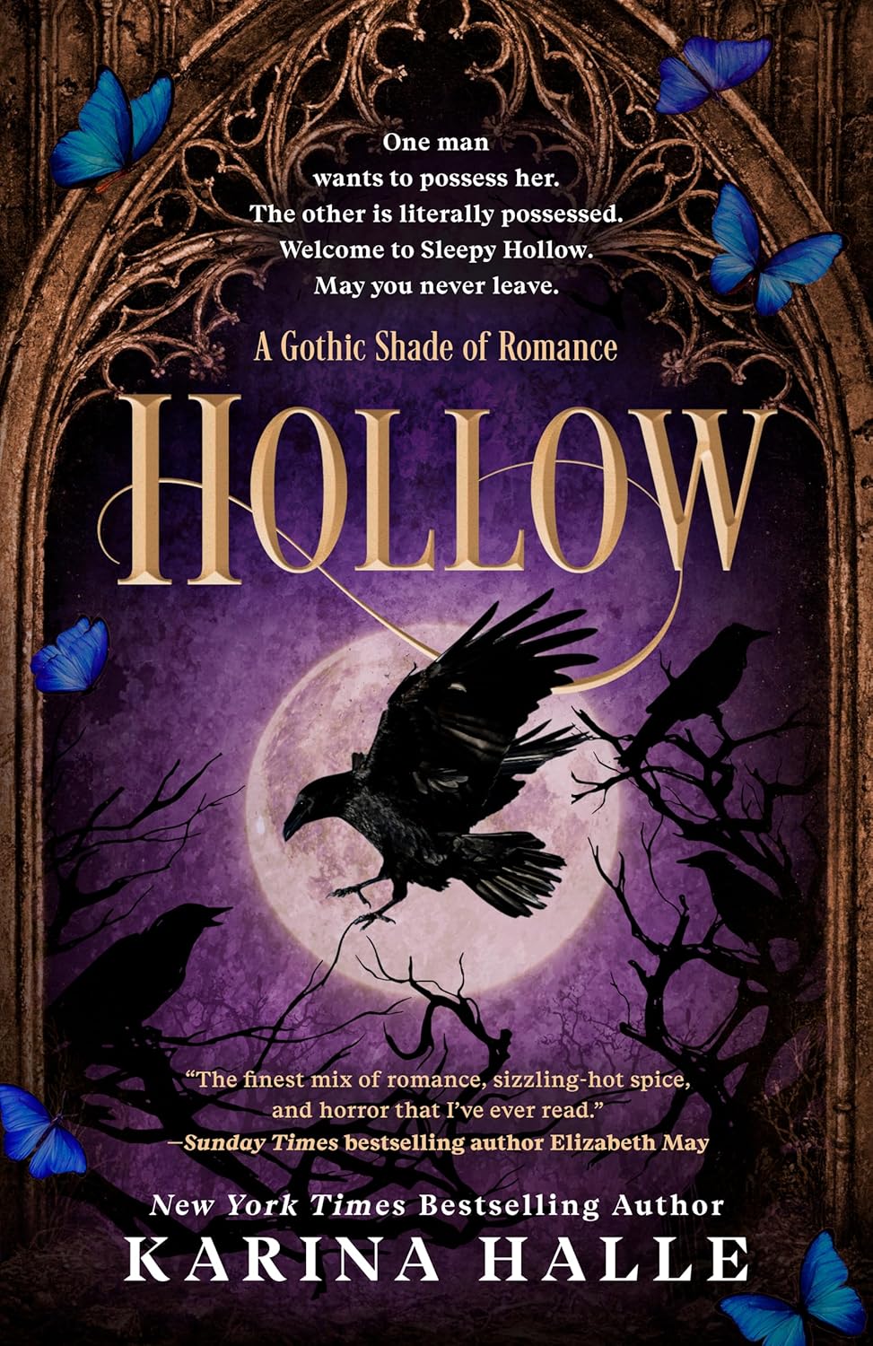 Hollow (A Gothic Shade of Romance Book 1)      Kindle Edition