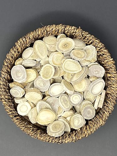 Miniatura 4 de Cuernasrebanadas de asta de ciervo (artesanías, fabricación de joyas, suministros de cuentas) (mediano)