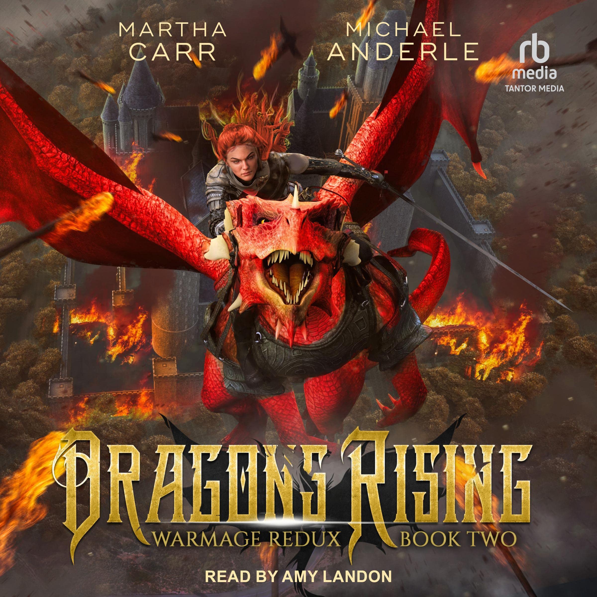 Cover art for Dragons Rising