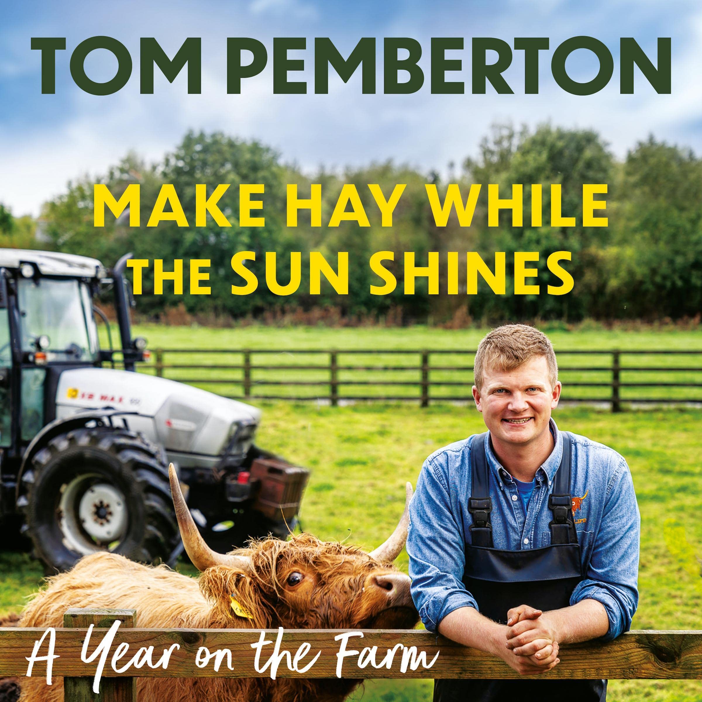 Cover art for Make Hay While the Sun Shines