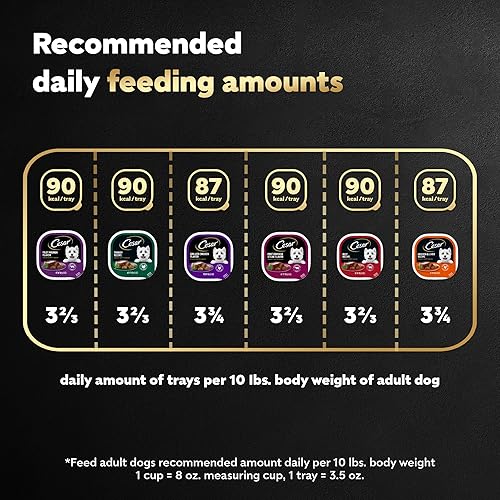 Miniatura 53 de CESAR - Comida húmeda y clásica para perros en un paquete variado de trocitos en salsa de receta de carne de res, filete miñón, pollo a la parrilla