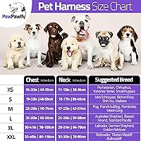 Vista 10 de Personalized No Pull Dog Harness with Custom Name and Phone Number by PawPawify, Heavy Duty Pet Vest to Prevent Tugging, Pulling, or Choking, Blue