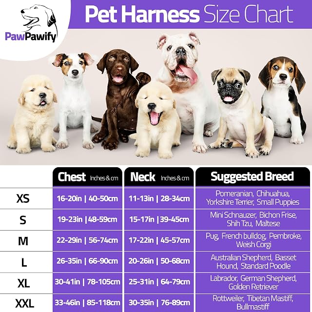 Foto 5 de 6 de PawPawify Arnés para perro personalizable con nombre y número de teléfono. Chaleco resistente para mascotas…