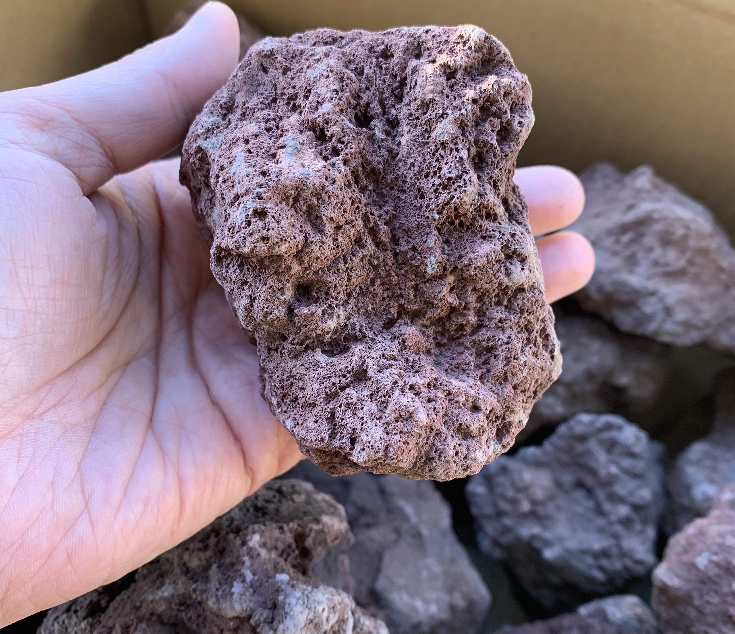 Amazon | 溶岩石 レッドロック 赤 10kg 5-15cm アクアリウム