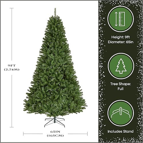 Miniatura 4 de Abeto National Tree North Valley