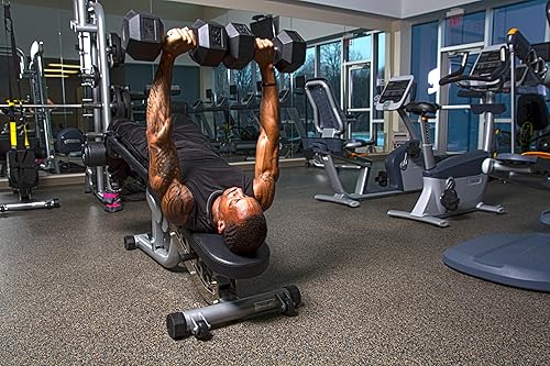 Miniatura 10 de Body Sport Rubber Encased Hex Dumbbell Weight, Single  Dumbbells for Exercises  Strength Training Equipment  Home Gym Accessories  Weight Training