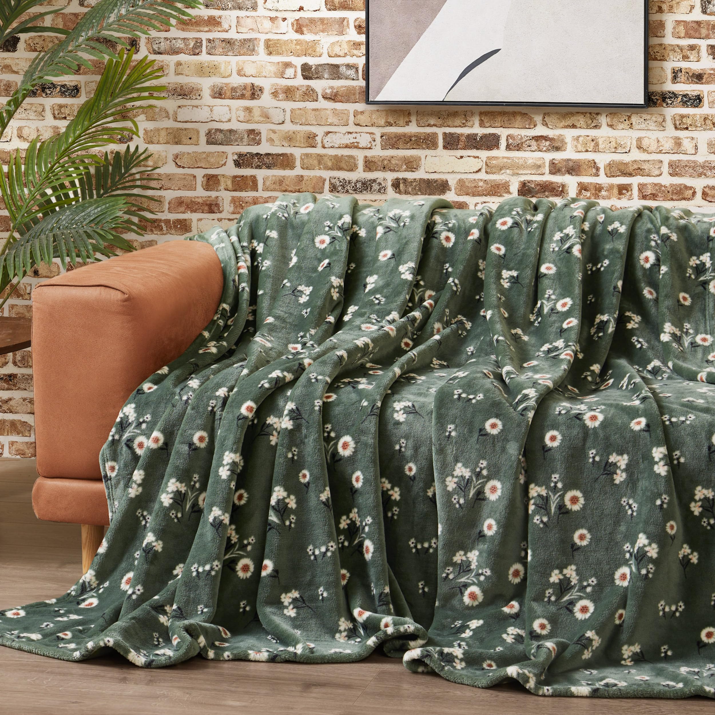 Amazon.com: Lucky Brand Daisy Green Floral 66