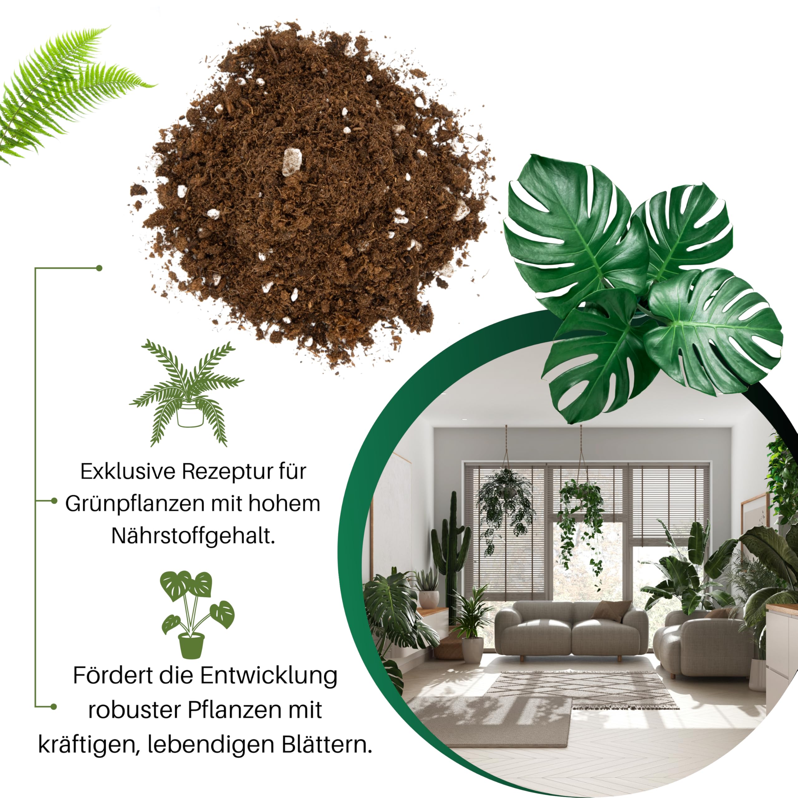 GebEarth | Blumenerde fr Grnpflanzen | Langfristige Nhrstoffe und  gesundes Wachstum | Erde fr Monstera, Efeu, Dracaena und alle Arten von  Grnpflanzen3L : Amazon.de: Garten