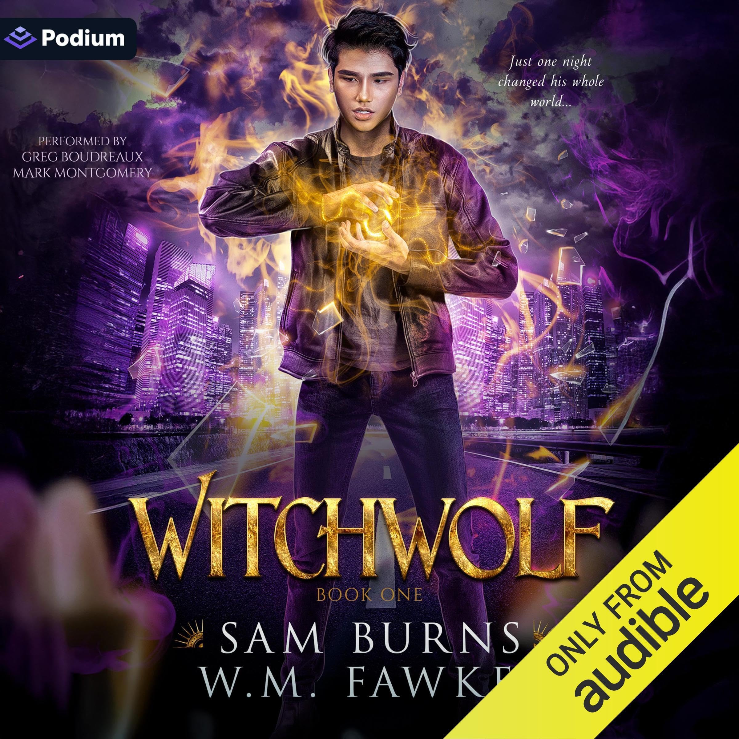 Cover art for Witchwolf