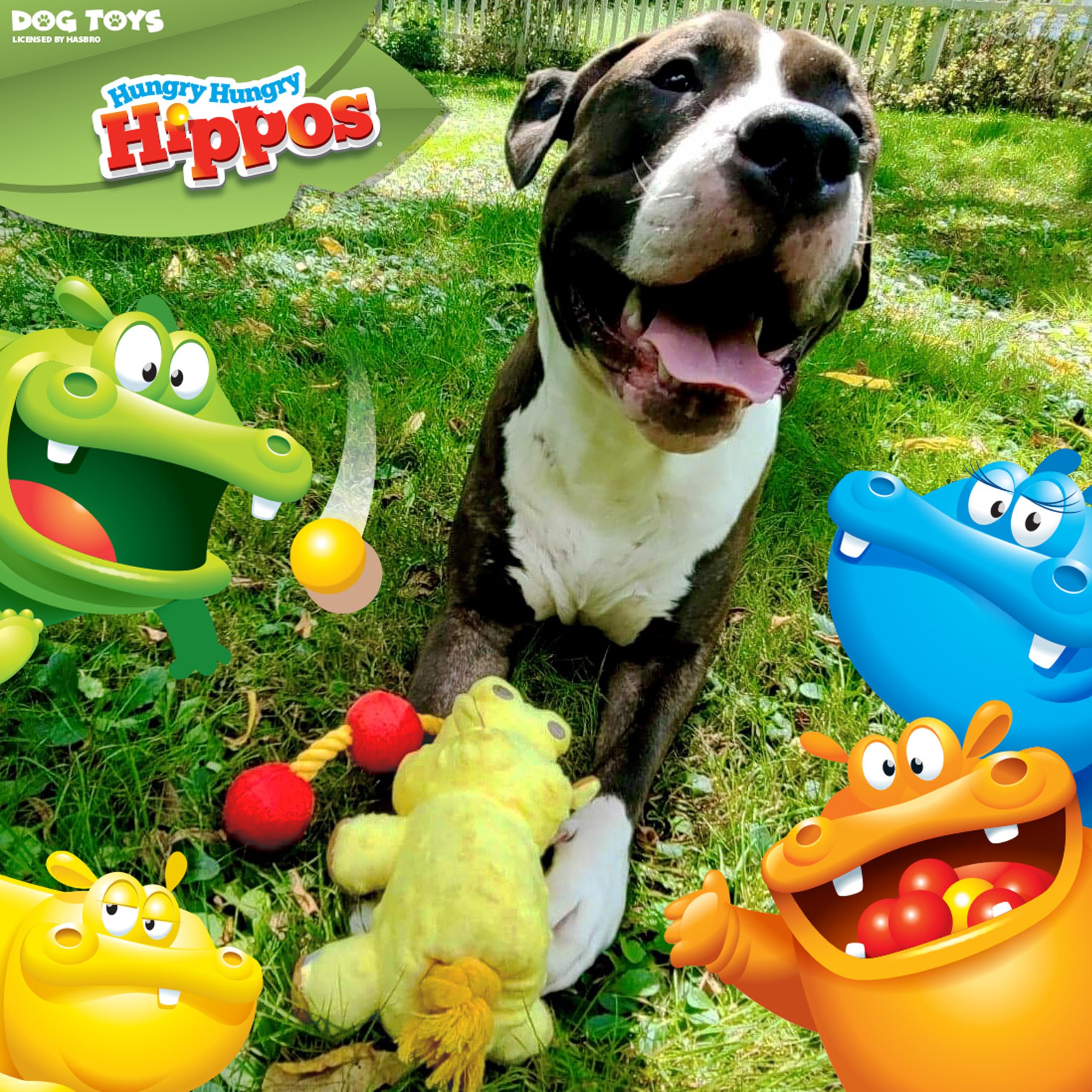 Hasbro Hungry Hungry Hippos Squeak and Tug Plush Dog Toy, 17-Inch Durable Toy for Dogs Yellow/Red - Image 2