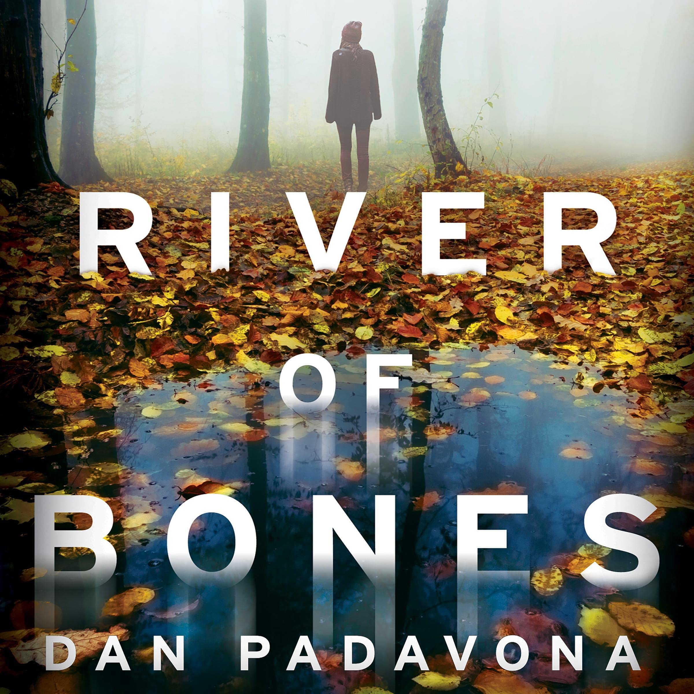 Cover art for River of Bones