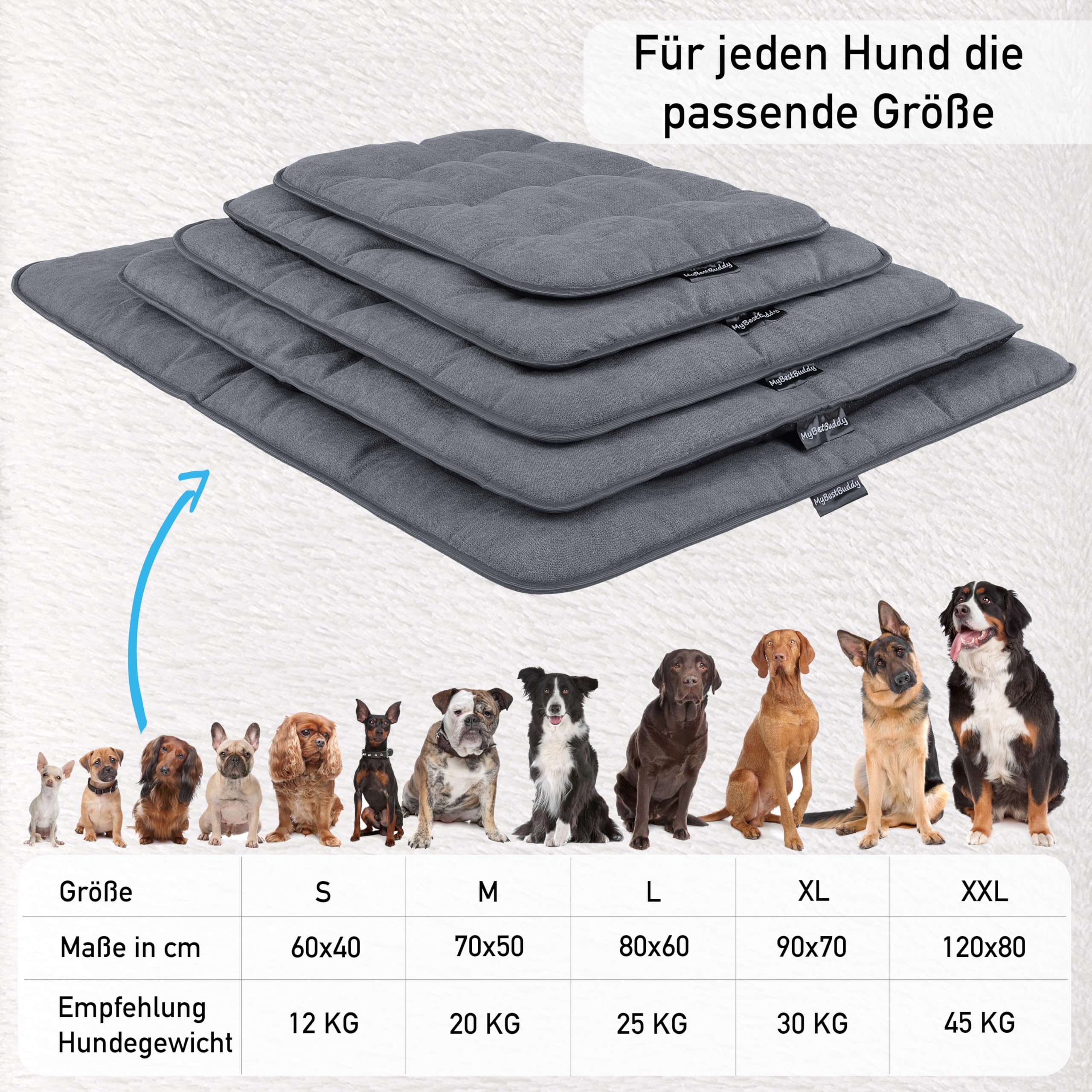 MyBestBuddy Hondenkussen Comfort grijs 60x40 cm S, allergievriendelijk (100% polyester), antislip - wasbaar op 40°C met pluizige stoffen bekleding - Hondenmat of hondenbed voor kleine honden MyBestBuddy Hondenkussen Comfort grijs 60x40 cm S, allergievriendelijk (100% polyester), antislip - wasbaar op 40°C met pluizige stoffen bekleding - Hondenmat of hondenbed voor kleine honden