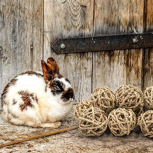Miniatura 4 de 10 bolas de juego para animales pequeños, juguetes para masticar actividades rodantes, golosinas para conejillos de indias, conejillos de indias,