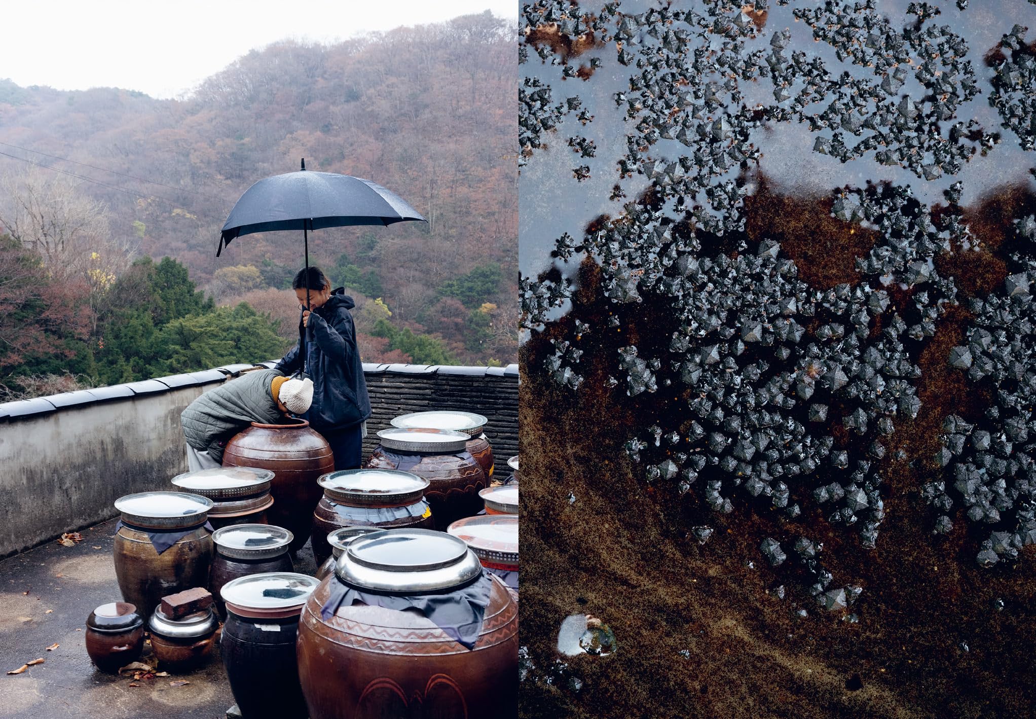 Korean Temple Cooking: Lessons on Life and Buddhism, with Recipes, the Life and Work of Jeongkwan Snim