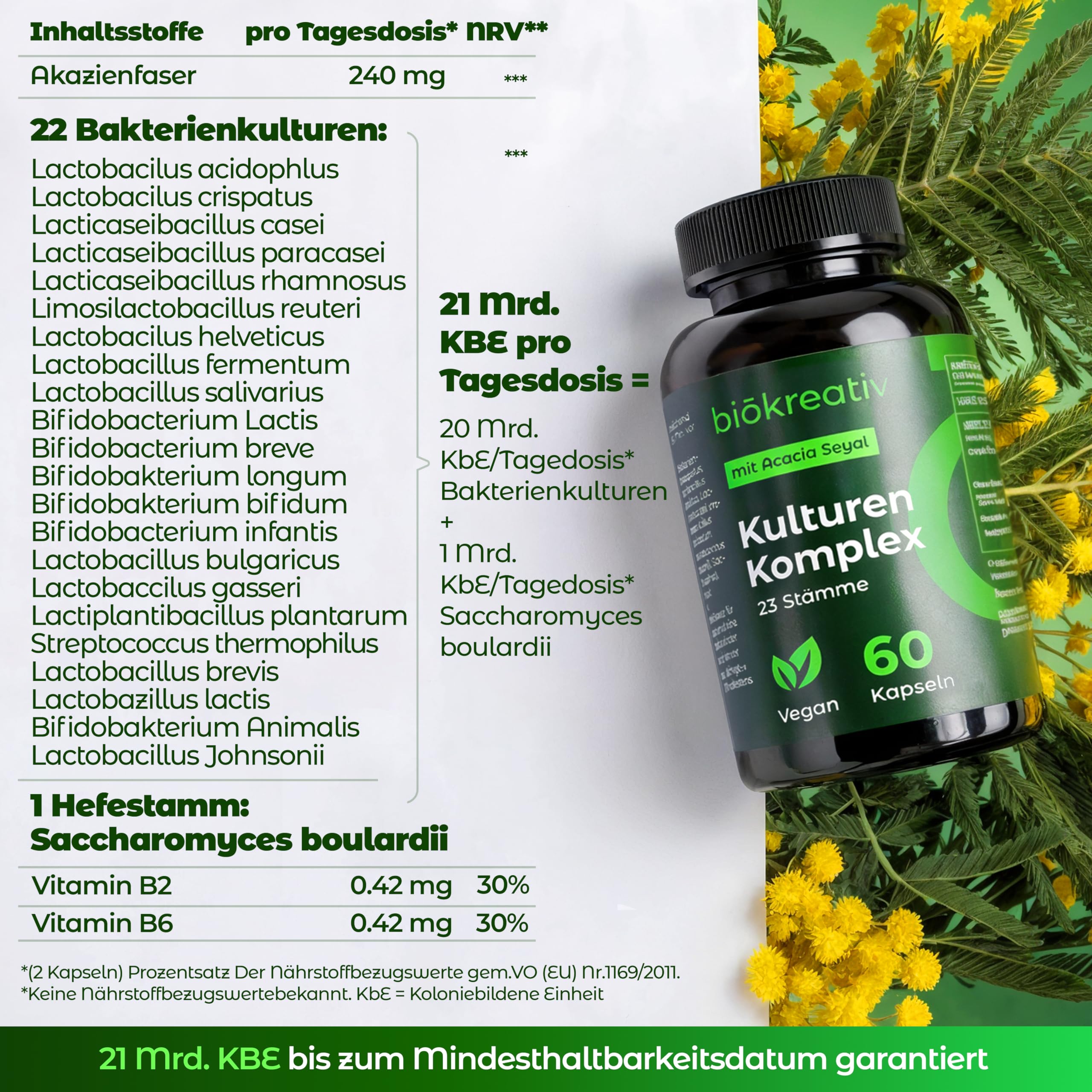 Biökreativ Kulturen Komplex ohne Inulin – 21 Mrd. KBE, 23 Stämme, mit Akazienfaser, Bakterienkulturen, Bifidobakterien, Lactobacillus, Vitamin B2 & B6, Vegan, 60 Kapseln