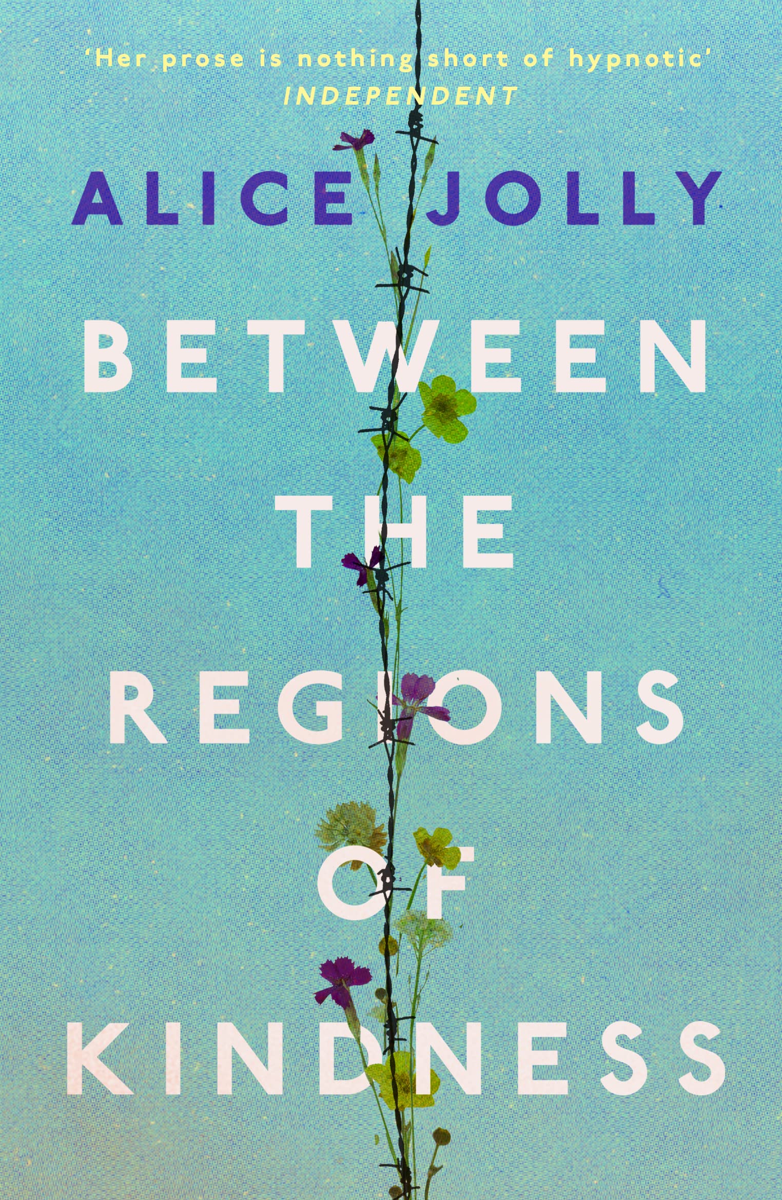 Between the Regions of Kindness by Alice Jolly (Paperback Book)