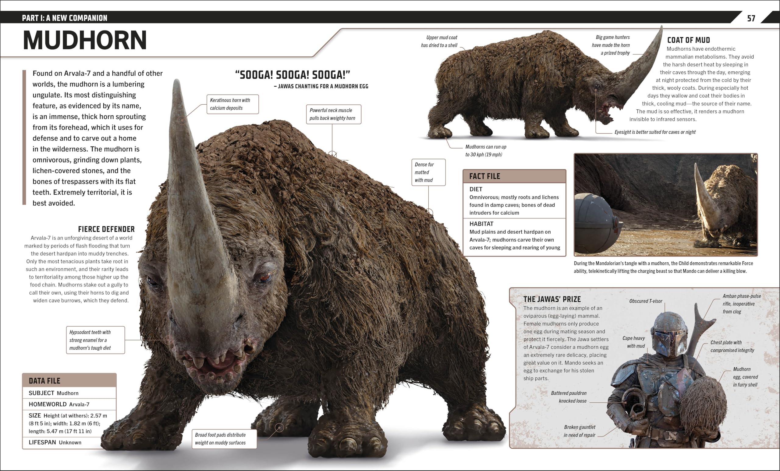 Star Wars The Mandalorian Visual Guide