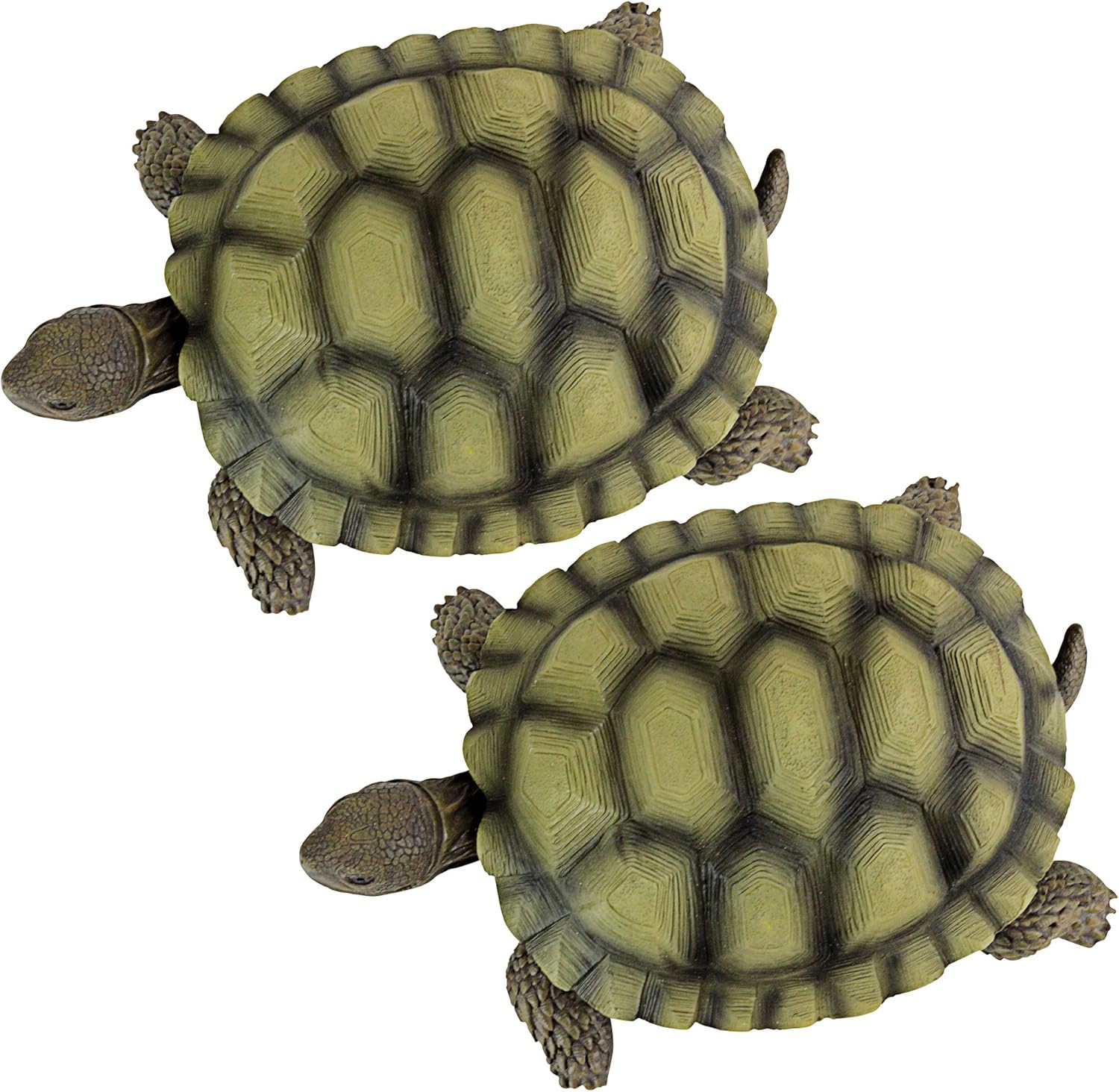 Design Toscano Gilbert the Box Turtle Garden Decor Animal Statue, 9 Inch, Set of Two, Polyresin, Full Color : Patio, Lawn & Garden