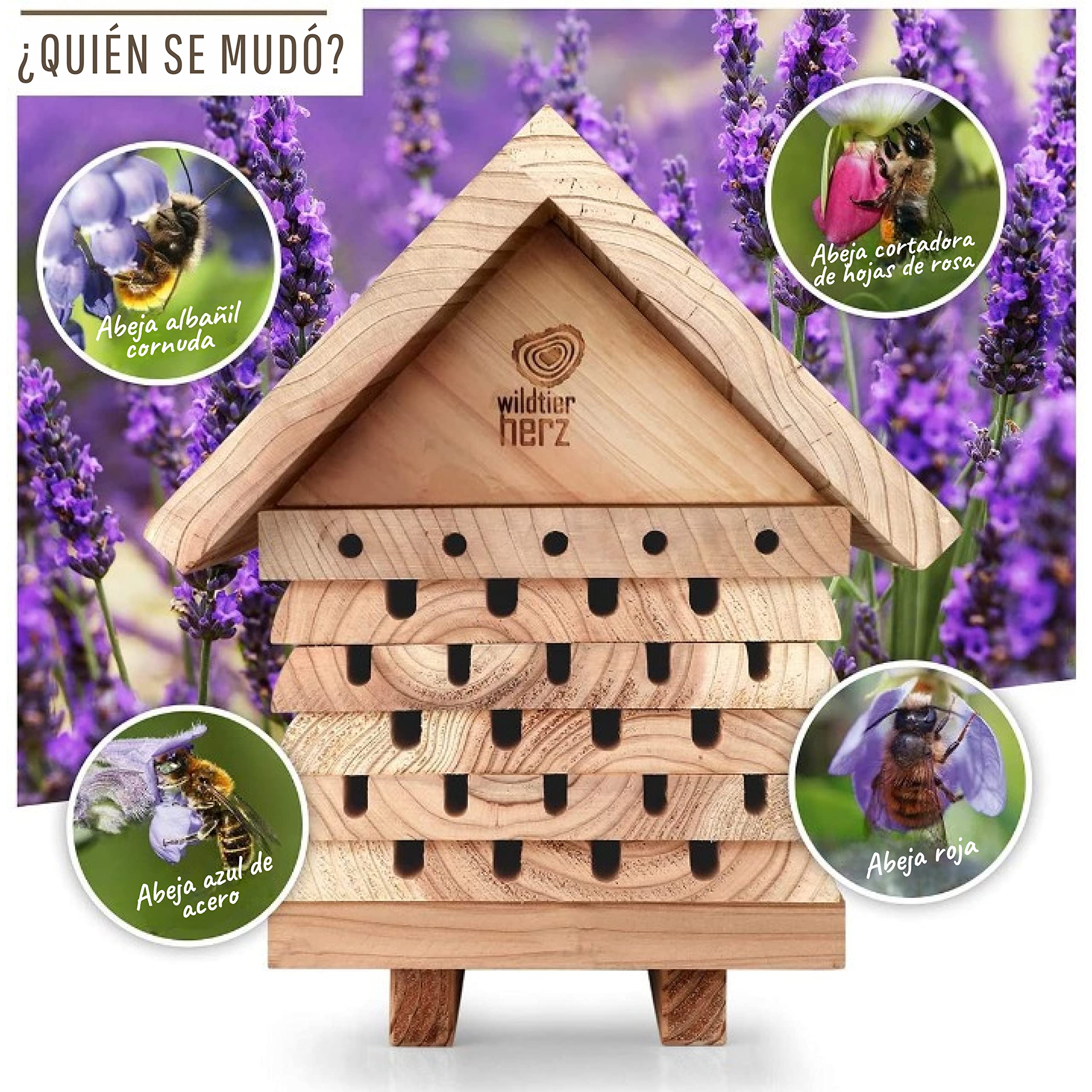 wildtier herz I Hotel Abejas - Cajas de Insectos para Abejas, Hotel de Insectos Madera, Refugio para Insectos