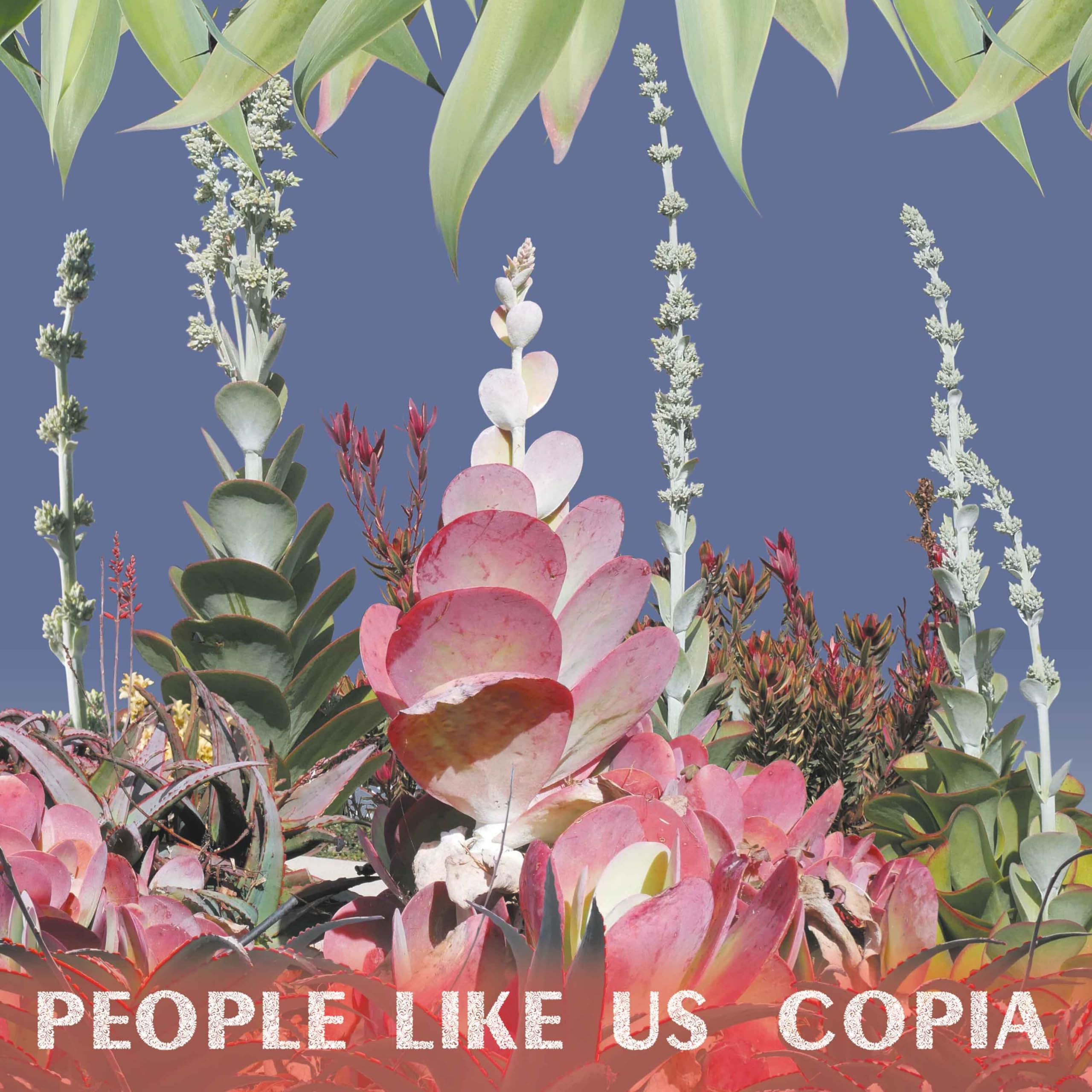 PEOPLE LIKE US - Copia - Vinyl (LP)